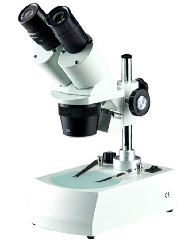 Biological Microscope